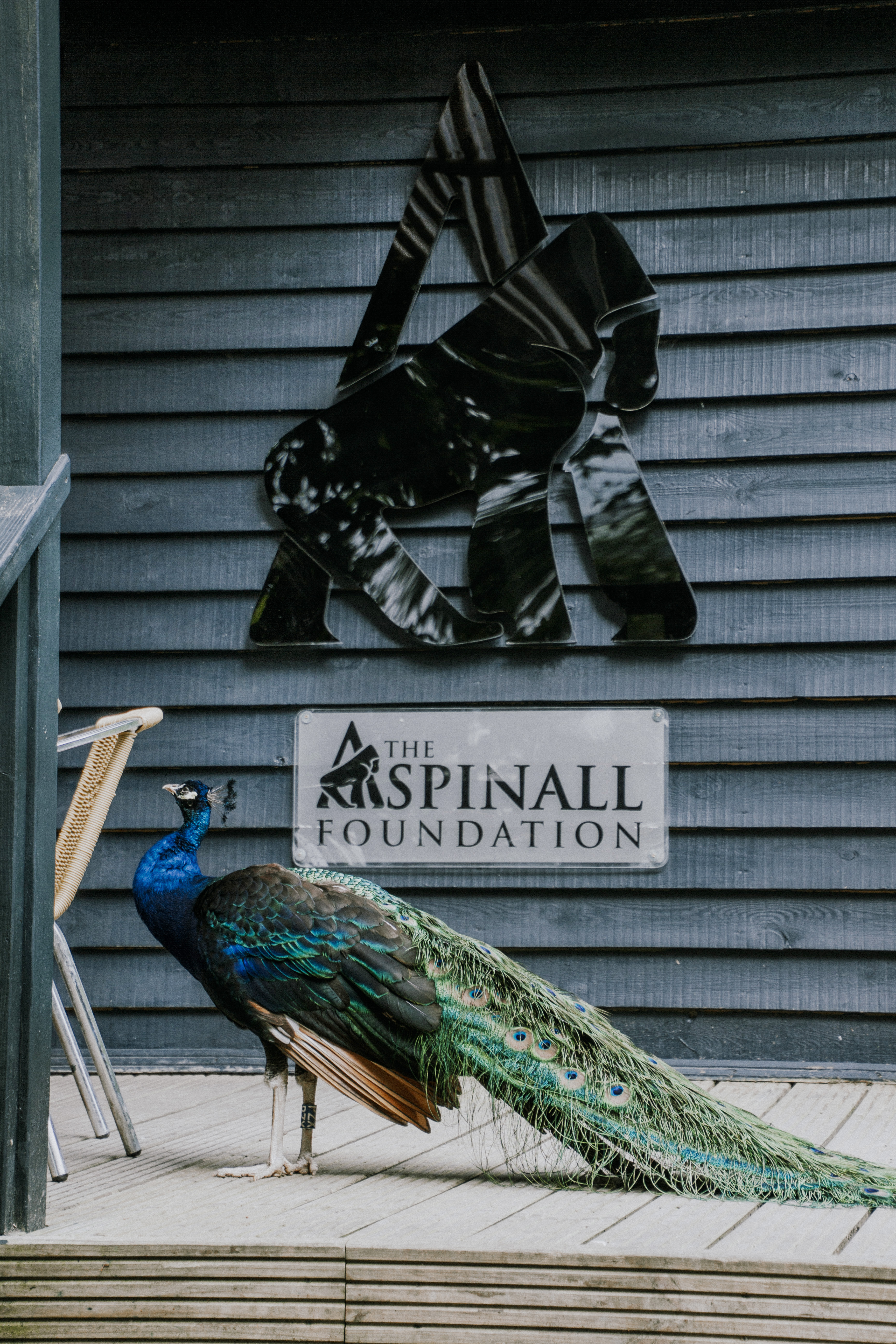 Port lympne England English safari, gifraffe lodge, kent